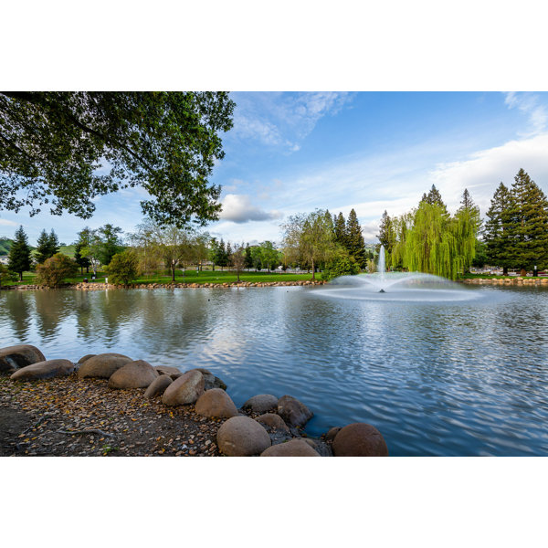 Ebern Designs Old Danville Ranch Park by Wrapped Canvas Photograph